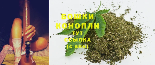 дживик Видное