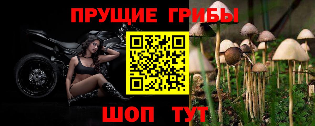где можно купить   Галлюциногенные грибы GOLDEN TEACHER  Псилоцибиновые грибы Psilocybe  Вход с VPN  Зеленодольск 